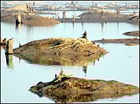 Round-up of regional news