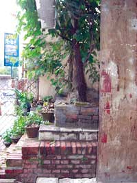 Grave neglect: The Begum of Awadh