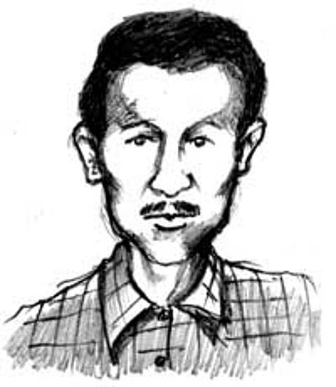 The media and the household help