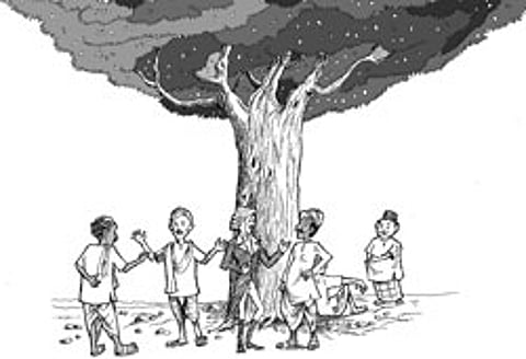 A century and a half since the neem tree