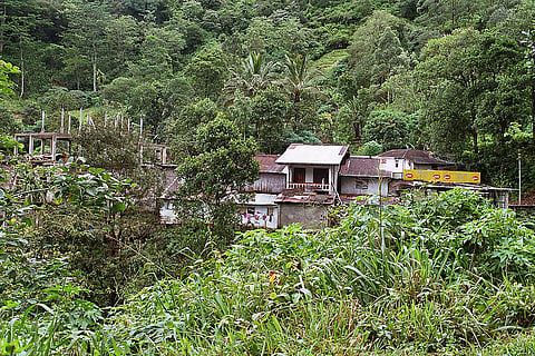 Line housing of estate workers, Sri Lanka. Photo: Wikimedia Commons