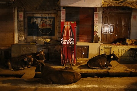 An account from Varanasi, where bhang and thandai struggle to survive the onslaught of LSD and Coca-Cola. Copyright: Kristjan-Jaak Tammsaar