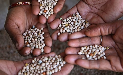 flickr/ World Bank Photo Collection