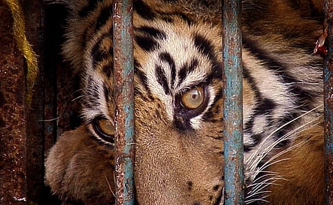 Flickr / Rick Hobson