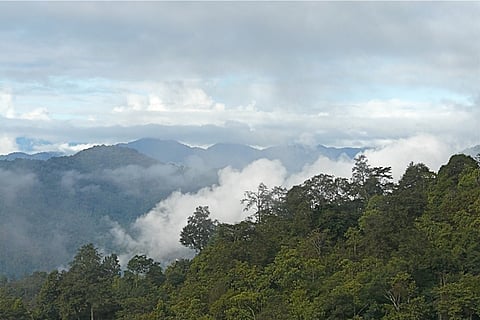 The ‘secret killings’ of Assam in literature