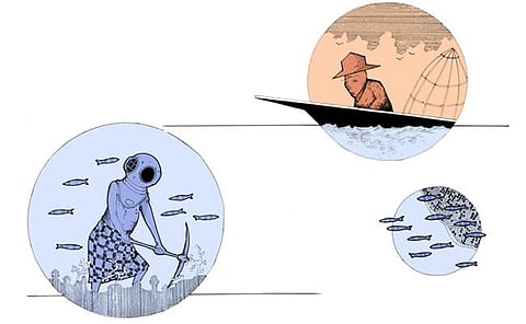 Image: Paul Aitchison