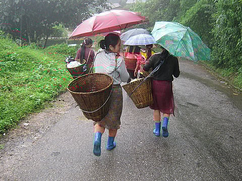 Flickr/ Anuradha Sengupta