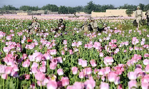 Resistance to foreign invasion and occupation are common themes in the poetry published on the Taliban's website.
flickr / isafmedia