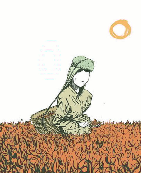 ILLUSTRATION: PAUL  AITCHISON