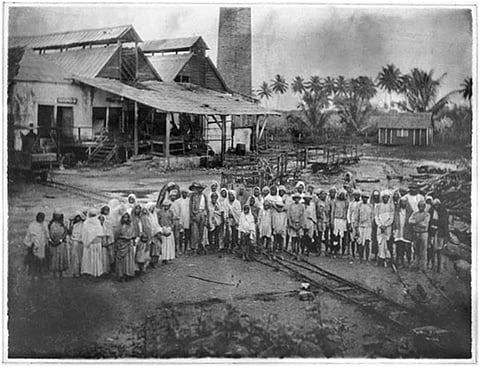 Girmitiyas in Fiji.
Photo: Ministry of External Affairs / Government of India