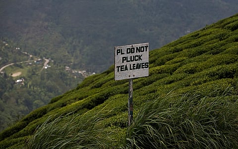 Photo: Flickr / Christian Campbell