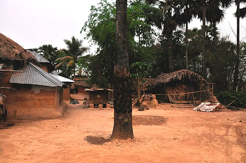 The tree the couple were tied to on 20 January. Photo: Madhusree Mukerjee