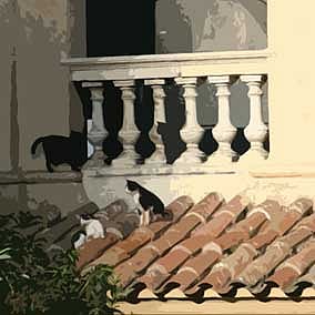 Image adapted from: Pixabay / jem040506