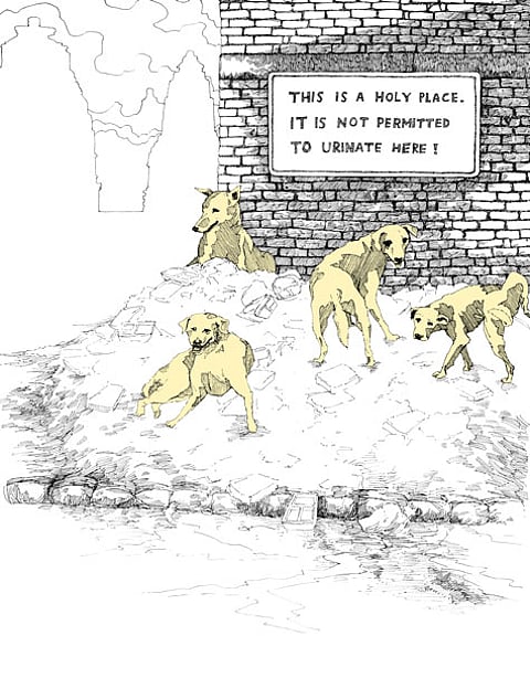 Illustration: Paul Aitchison