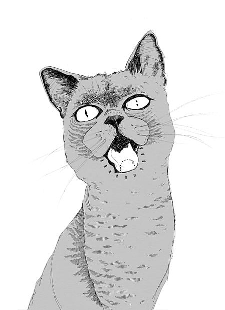 Illustration: Paul Aitchison