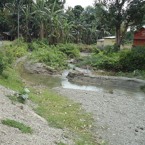 The course of a dong channel in a village near Mushalpur, Baksa, where a subsidiary dong branches off to fields and homesteads. 
Photo : Aparna Unni