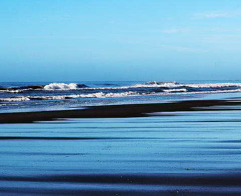 Photo : Flickr / renê ardanuy