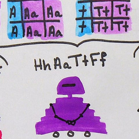 Photo: Katy Tresedder / Flickr