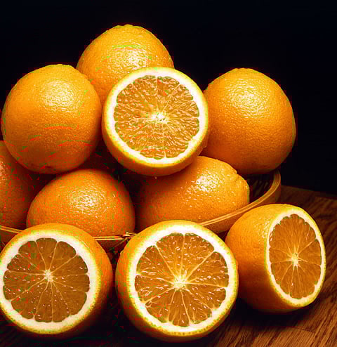 This ubiquitous citrus fruit was first imported from the eastern territory in Africa to India and was therefore called the ‘Mozambique orange’. This mutated to 'Mosambi' or 'Mosumi'. Photo: Wikimedia Commons