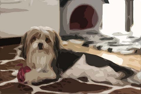 Photo credit: Total Verhext / Flickr