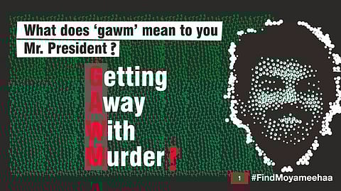 Photo courtesy the author.