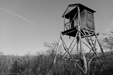 Photo: Kenneth Arthur Owen / Flickr