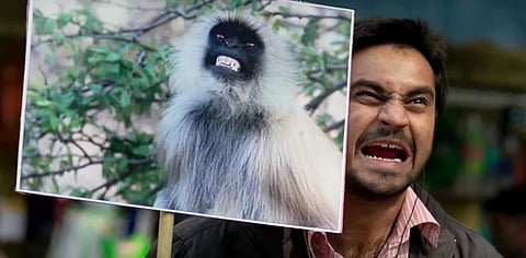 Screen grab from 'Eeb Allay Ooo!' (2019) / Netflix