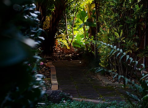 Photo: Stephen Ally / Unsplash