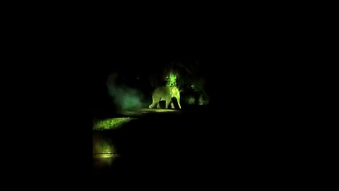 Many farmers in Hambantota work in the fields during the day and patrol at night to protect their crops from elephants who come out in search of food and water. Photo: Roshan Gunasekare