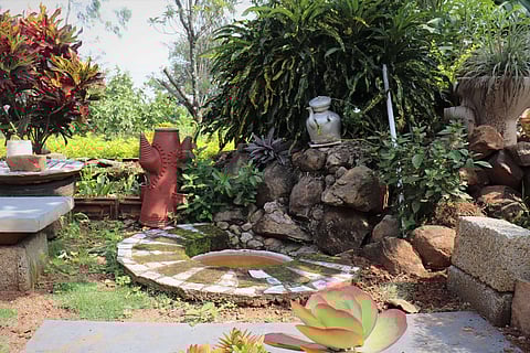 A garden with various succulents and drought-tolerant plants, including the paddle plant (Kalanchoe tetraphylla), the garden croton (Codiaeum variegatum) and the spider plant (Chlorophytum comosum). Dhondenling’s gardens have surpassed their original utilitarian purpose and become places of self-realisation for the area’s Tibetan refugees. Photo courtesy: Hanna Geschewski