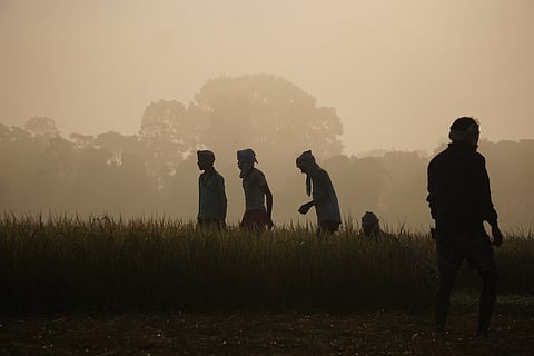 Tarai migrant workers from Chitwan working in farmlands of Nepal. (This featured image was added online in 2024, and did not appear in the original print publication.)