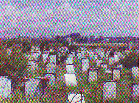 Srinagar’s martyr’s graveyard