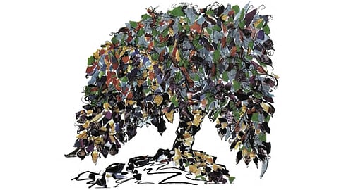 Under the tamarind tree