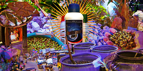 India’s massive failure to control pesticide overuse in cardamom and its spice trade