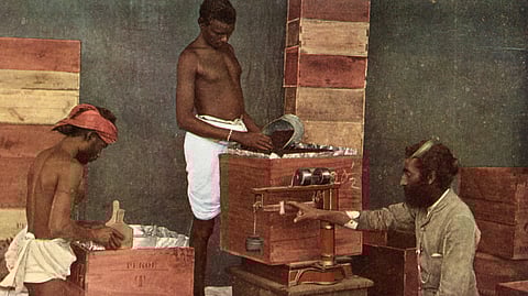 Photo of three workers packing tea on a Ceylon estate supervised by a kanganie