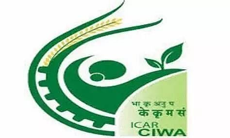 सीआईडब्ल्यूए भर्ती 2022 - कम्युनिटी मोबिलाइज़र, फील्ड असिस्टेंट, नौकरी के अवसर