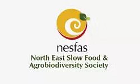 एनईएसएफएएस मेघालय भर्ती 2023 - भुगतान इंटर्नशिप, नौकरी के अवसर