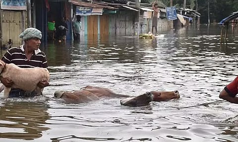 असम बाढ़ दृश्य: मरने वालों की संख्या बढ़ती जा रही है