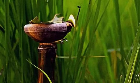 Kati Bihu: असम के राज्यपाल प्रोफेसर जगदीश मुखी ने काटी बिहू की पूर्व संध्या पर लोगों को बधाई दी