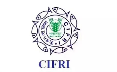 सीआईएफआरआई भर्ती 2022 - स्टेनोग्राफर ग्रेड III रिक्ति, नवीनतम नौकरियां