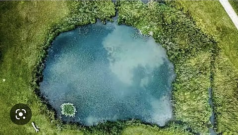 असम : अप्रयुक्त स्कूल भूखंड जल्द ही मछली प्रजनन केंद्रों में बदल जाएंगे