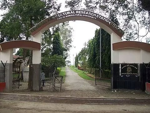 आरएआरएस तीताबार भर्ती 2022 - रिसर्च एसोसिएट और फील्ड असिस्टेंट, नौकरी के अवसर