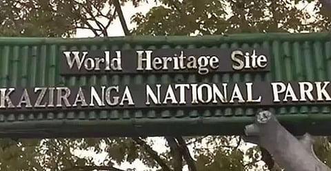 काजीरंगा राष्ट्रीय उद्यान में एलिवेटेड कॉरिडोर के प्रस्ताव पर बारीकी से जांच कर रहा है मंत्रालय