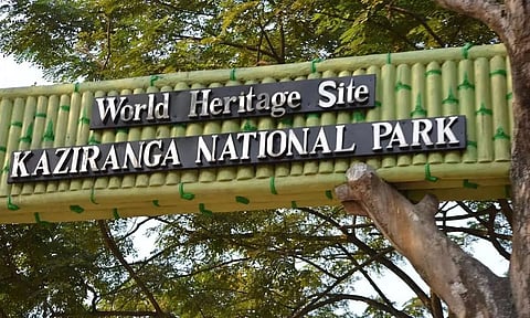 असम राइफल्स पब्लिक स्कूल ने काजीरंगा राष्ट्रीय उद्यान के भ्रमण का आयोजन किया