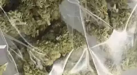 न्यू बोंगईगांव की राजकीय रेलवे पुलिस ने गांजा जब्त किया