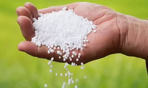 उर्वरक बिक्री फिर से शुरू करें या लाइसेंस रद्द करने का सामना करें: असम सरकार