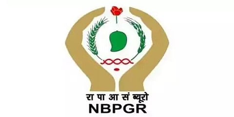 NBPGR भर्ती 2022 - सहायक रिक्ति, नवीनतम नौकरियां