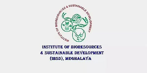 आईबीएसडी-शिलांग भर्ती 2022 - प्रोजेक्ट एसोसिएट- I और फील्ड वर्कर रिक्ति, नौकरी के अवसर