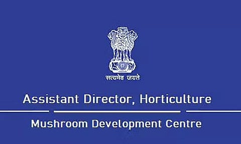 मेघालय बागवानी भर्ती 2022 - तकनीकी सहायक रिक्ति, नौकरी के अवसर