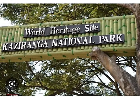 माघ बिहू के बीच काजीरंगा नेशनल पार्क में धारा 144 लागू